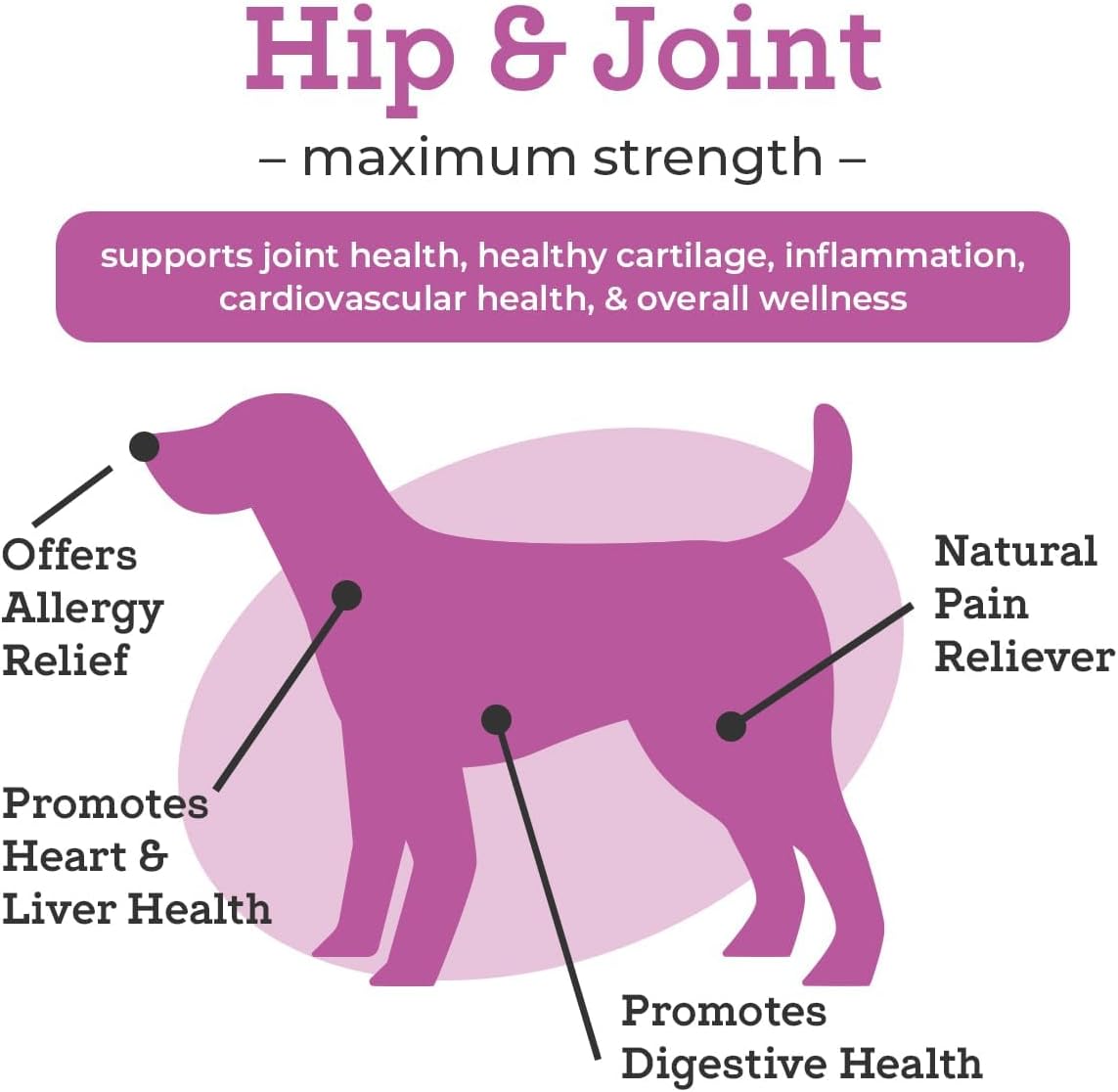 Hip and Joint - Maximum Strength